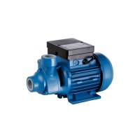 ELECTROBOMBA PERIFERICA PF 100 M